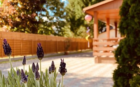 Mimi Apartments Zamárdi