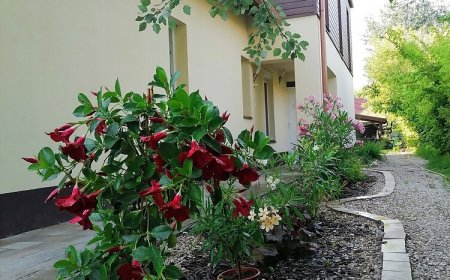 Perfekt Apartman Zamárdi