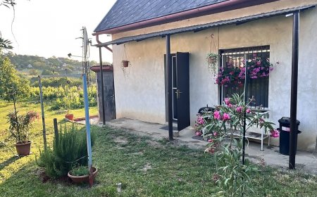 Szőlőskert Vendégház Zamárdi