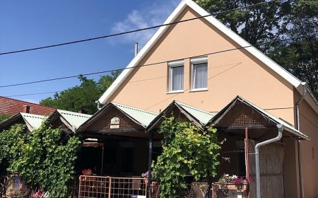 Szőlős Vendégház Zamárdi