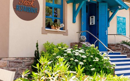 Fészek -Étel és Hotel- Zánka