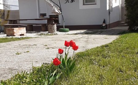 Salamander Vendégház Zánka