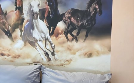 Motoros Barát Apartman Zebegény