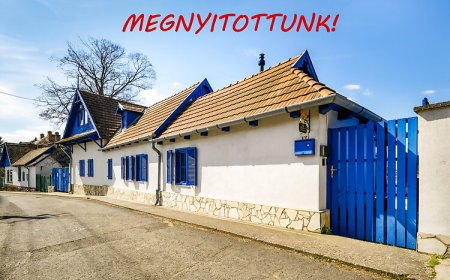 Napraforgó Apartmanház Zebegény