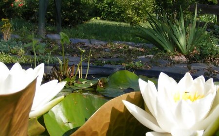 Sasfészek Vendégház Páliháláspuszta-Zirc