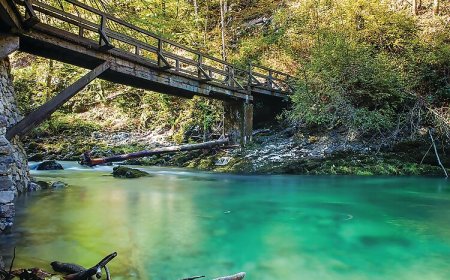 Vendégház Ravna Gora - CKB345