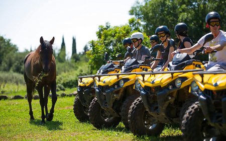 Vendégház Donji Radovčići - CDD375