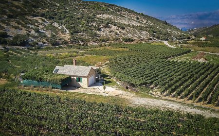 Vendégház Postira - CDB629