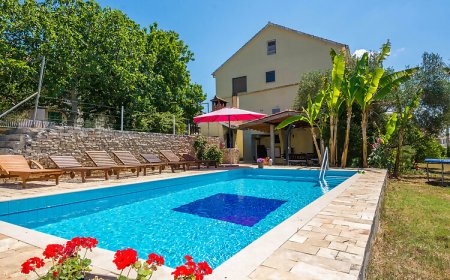 Vendégház Kožino - CDZ210