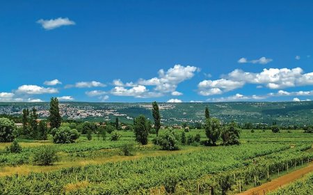 Vendégház Zagvozd - CSC052