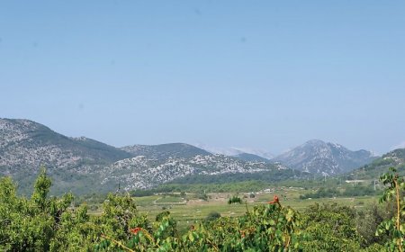 Vendégház Kuna Pelješka - CDP475