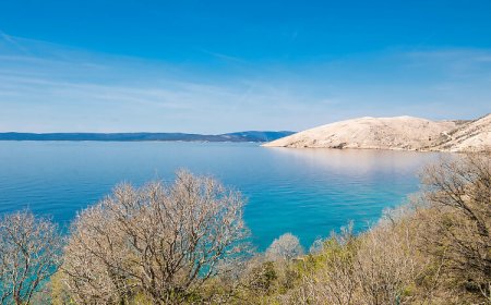 Vendégház Punat - CKK764