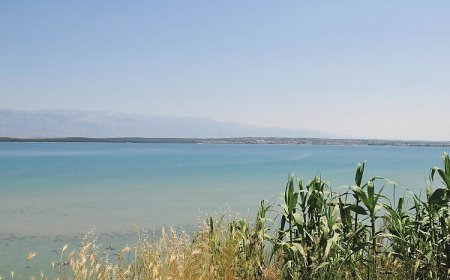 Vendégház Privlaka - CDN834