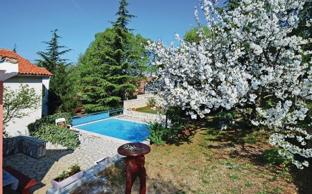 Vendégház Trget - CIK307