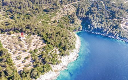 Vendégház Vela Luka - CDS265