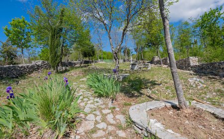 Vendégház Zmijavci - CSC199