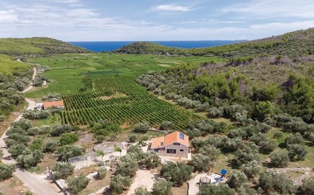 Vendégház Smokvica - CDS072