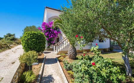 Apartment Susa Vir II