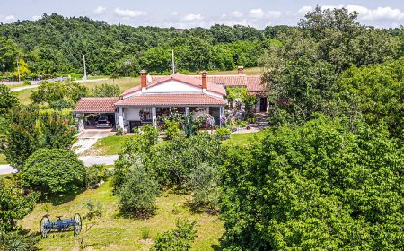 Apartman Žminj - CIC133