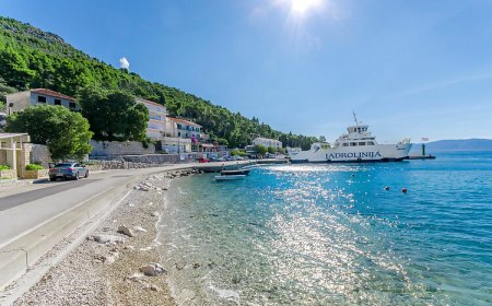 Apartments Moloco Drvenik