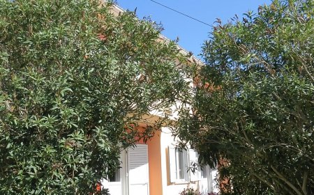 Apartment and Rooms Amenka Novalja