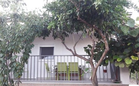 Apartment Sole Vinišće