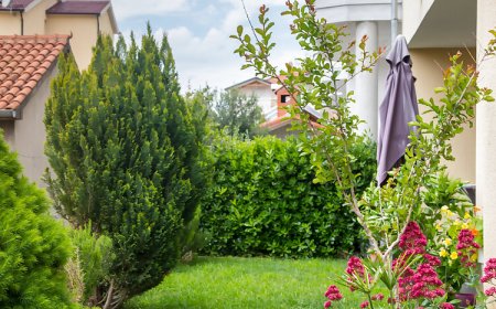 Apartments Nice and comfortable Vodice