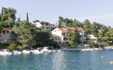 Apartment Ivo Basina