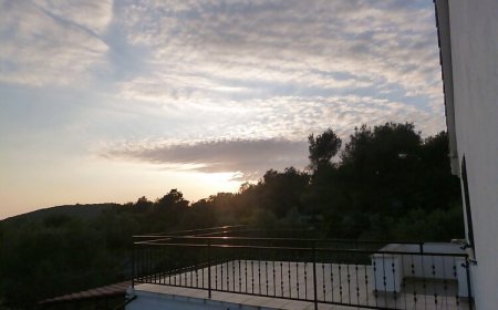 Apartments Zdenko Maslinica