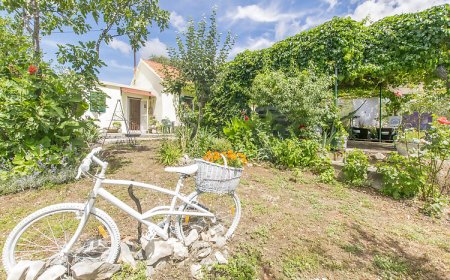 House Green Paradise Vrpolje