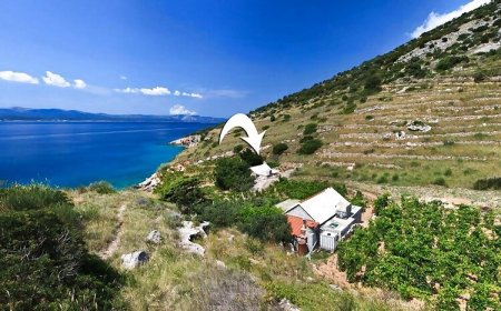 Robinson House Capitano Bol