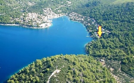 Apartments Dalibor Brna