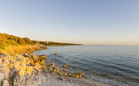 Apartments Ljerka Lun