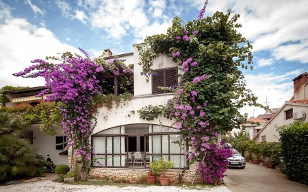 Apartments Nadia Rovinj