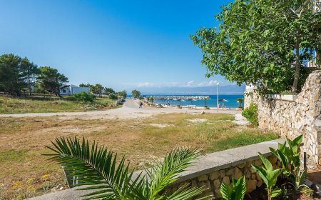 Apartments Andelic Vir II