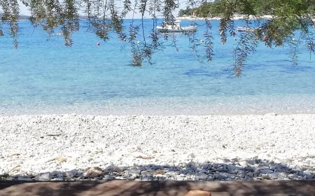 Apartments Dirk Hvar