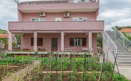 Apartment Sime Brodarica