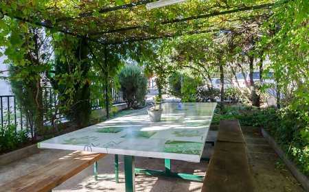 Apartments Sanda Kanica