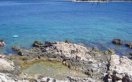 Apartments Ante Bilo