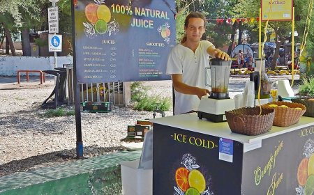 Apartments and Rooms Antee Vodice