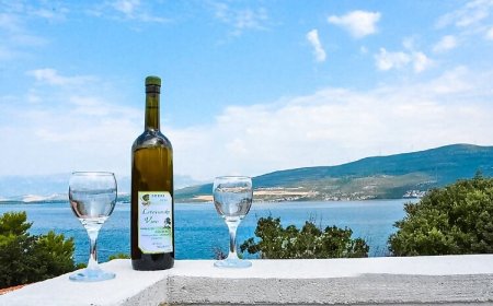 Apartmani Niko Donji Karin