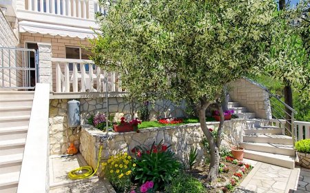 Apartments Bogdan Pisak