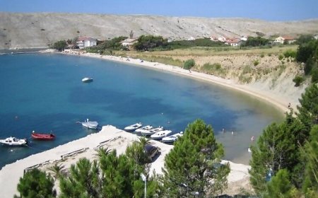 Apartments Milan Vlasici