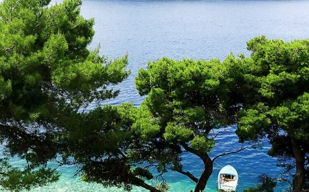 Apartment Matea Ubli