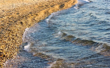 Apartments Estera Biograd