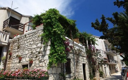 Apartment Renata Brist