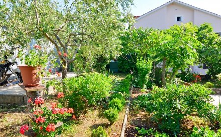 Apartments Ante Njivice