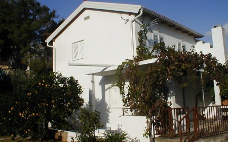 Apartman Neva Zavala