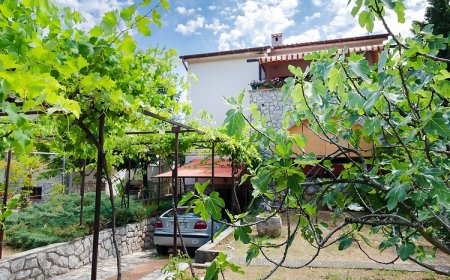 Apartment Bozena Punat