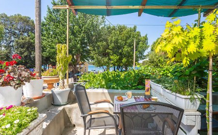 Apartman Punat - CKI438